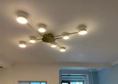 Ruchbah Ceiling Chandelier