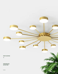 Ruchbah Ceiling Chandelier