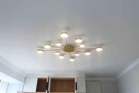 Ruchbah Ceiling Chandelier Ruchbah Ceiling Chandelier
