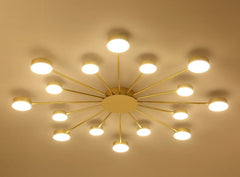 Ruchbah Ceiling Chandelier