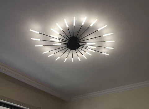 Brachium Ceiling Light Brachium Ceiling Light