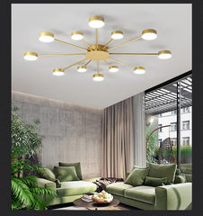 Ruchbah Ceiling Chandelier