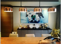 Nashira Rotatable Dome Pendant Lamp