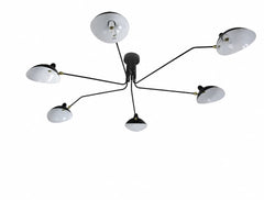 Ashlesha Duckbill Branch Ceiling Light