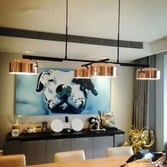 Nashira Rotatable Dome Pendant Lamp