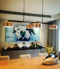 Nashira Rotatable Dome Pendant Lamp