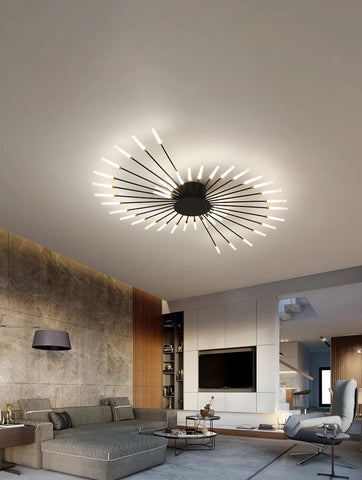 Brachium Ceiling Light Brachium Ceiling Light