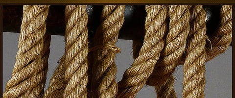 Muscida Hanging Lights Muscida Hanging Lights