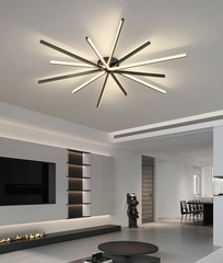 Pleione Linear Ceiling Light