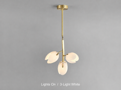 Merope Tulip Bloom Chandelier