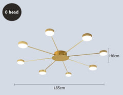 Ruchbah Ceiling Chandelier