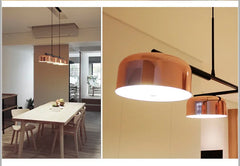 Nashira Rotatable Dome Pendant Lamp