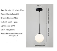 Adhara Frosted Globe Pendant Lamp