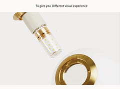 Adhara Frosted Globe Pendant Lamp
