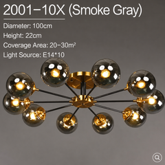 Mahasim Glass Globe Chandelier