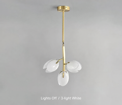 Merope Tulip Bloom Chandelier