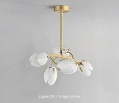Merope Tulip Bloom Chandelier